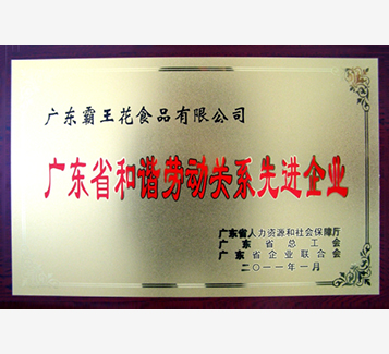 廣東省和諧勞動(dòng)關(guān)系先進(jìn)企業(yè)