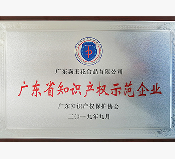 廣東省知識(shí)產(chǎn)權(quán)示范企業(yè)
