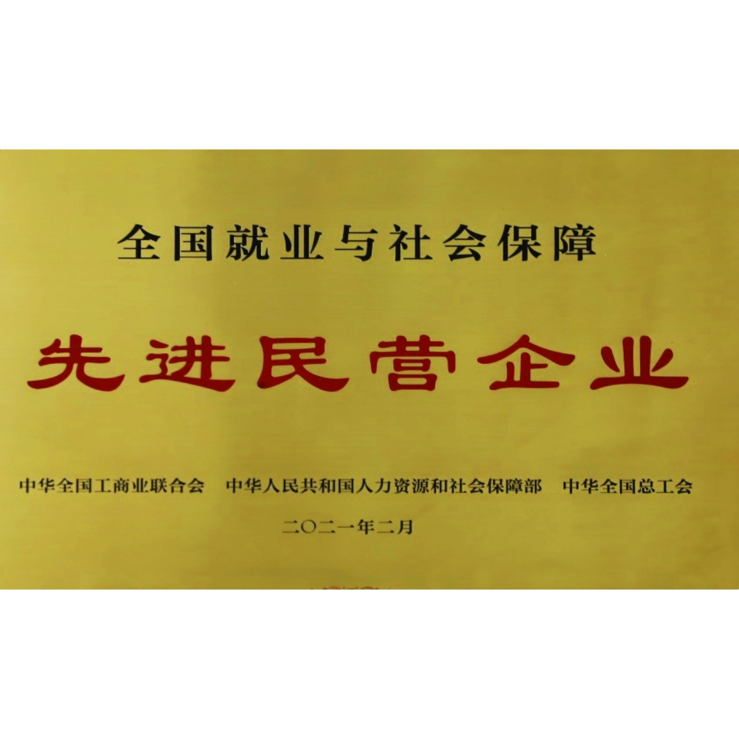 全國(guó)就業(yè)與社會(huì)保障先進(jìn)民營(yíng)企業(yè)